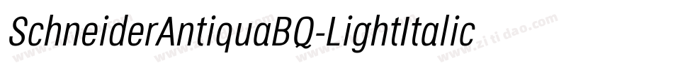 SchneiderAntiquaBQ-LightItalic字体转换