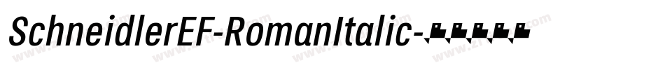 SchneidlerEF-RomanItalic字体转换