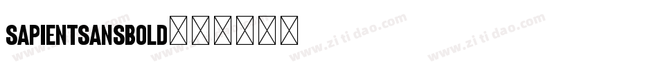 SapientSansBold字体转换