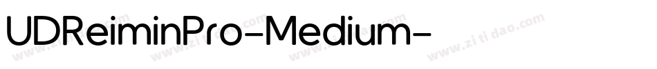 UDReiminPro-Medium字体转换
