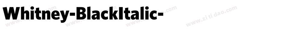 Whitney-BlackItalic字体转换
