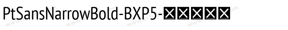 PtSansNarrowBold-BXP5字体转换