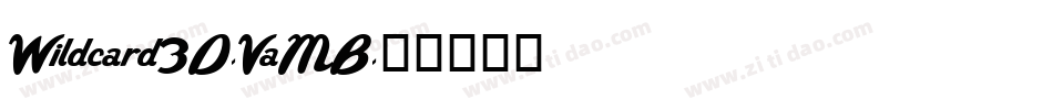Wildcard3D-VaMB字体转换