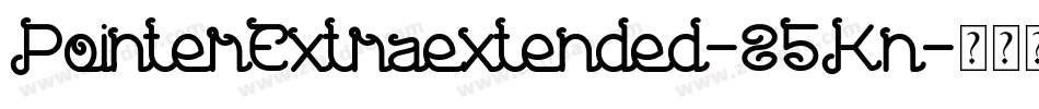 PointerExtraextended-85Kn字体转换