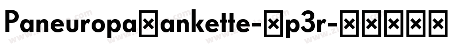 PaneuropaBankette-Ep3r字体转换 PaneuropaBankette-Ep3r字体转换