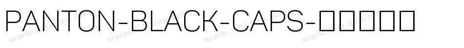 Panton-Black-Caps字体转换