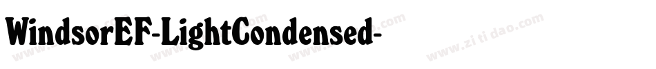 WindsorEF-LightCondensed字体转换