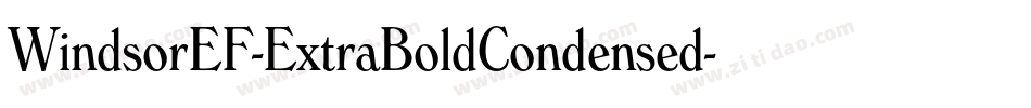 WindsorEF-ExtraBoldCondensed字体转换