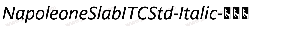 NapoleoneSlabITCStd-Italic字体转换