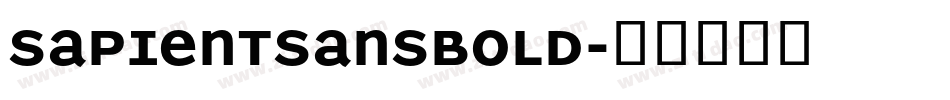SapientSansBold字体转换