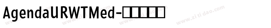 AgendaURWTMed字体转换