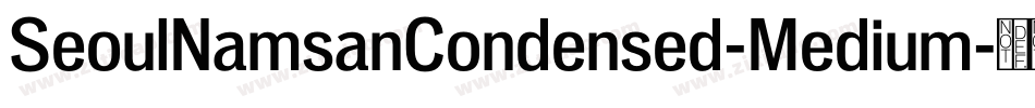 SeoulNamsanCondensed-Medium字体转换