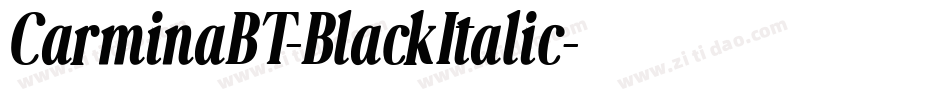 CarminaBT-BlackItalic字体转换