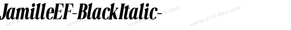 JamilleEF-BlackItalic字体转换