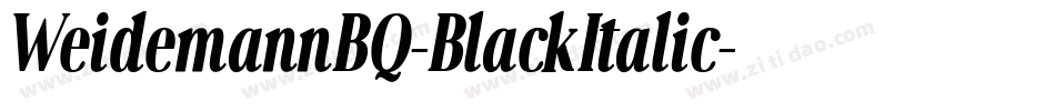 WeidemannBQ-BlackItalic字体转换