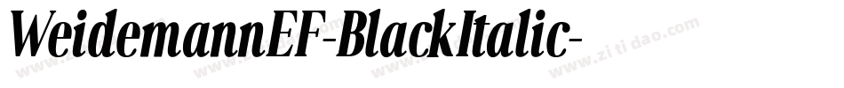 WeidemannEF-BlackItalic字体转换