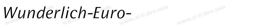 Wunderlich-Euro字体转换