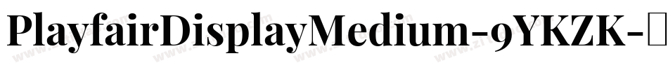 PlayfairDisplayMedium-9YKZK字体转换