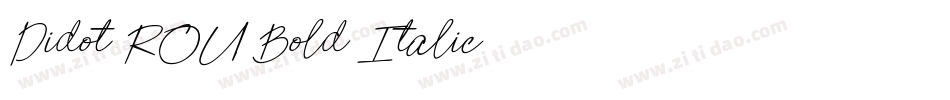 Didot-ROU-Bold-Italic字体转换
