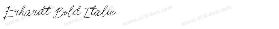 Erhardt-BoldItalic字体转换