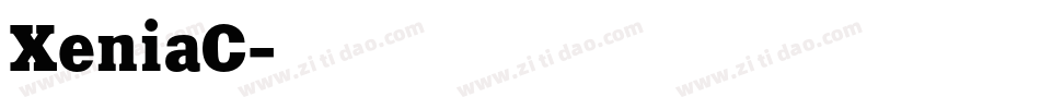 XeniaC字体转换