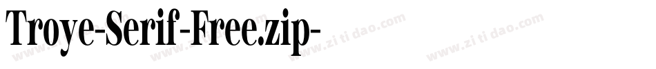 Troye-Serif-Free.zip字体转换