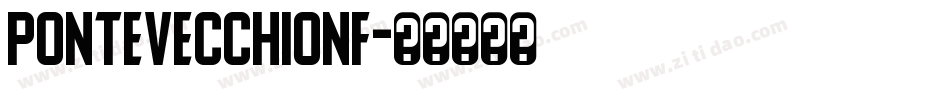 PonteVecchioNF字体转换