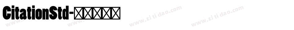CitationStd字体转换