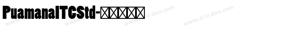 PuamanaITCStd字体转换