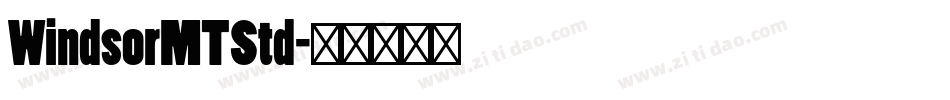 WindsorMTStd字体转换