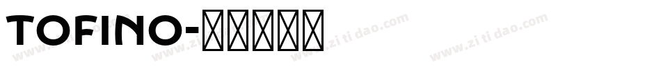 Tofino字体转换