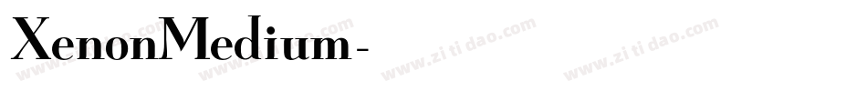 XenonMedium字体转换