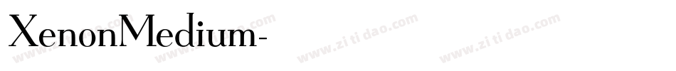 XenonMedium字体转换