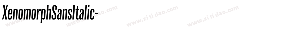 XenomorphSansItalic字体转换