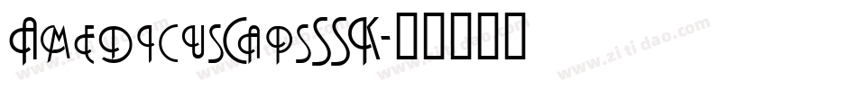 AmedicusCapsSSK字体转换