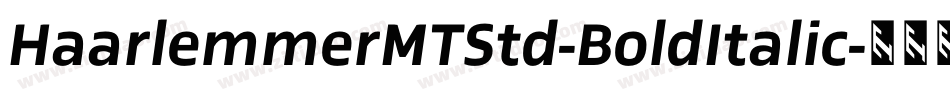 HaarlemmerMTStd-BoldItalic字体转换