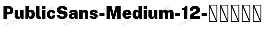 PublicSans-Medium-12字体转换