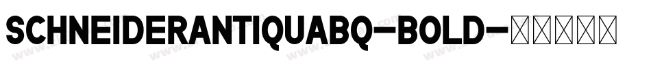 SchneiderAntiquaBQ-Bold字体转换