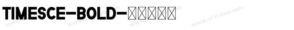 TimesCE-Bold字体转换
