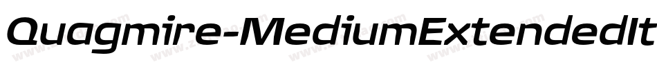 Quagmire-MediumExtendedItalic字体转换 Quagmire-MediumExtendedItalic字体转换