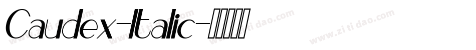 Caudex-Italic字体转换