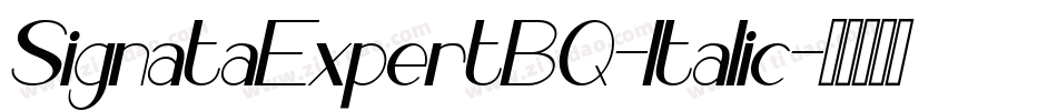 SignataExpertBQ-Italic字体转换