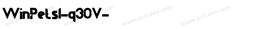WinPets1-q30V字体转换