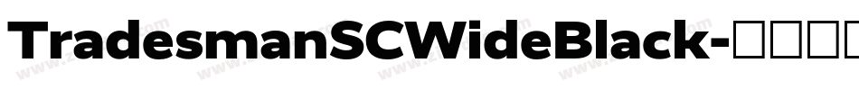 TradesmanSCWideBlack字体转换