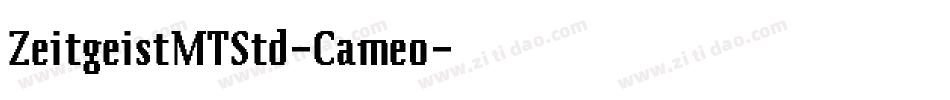 ZeitgeistMTStd-Cameo字体转换