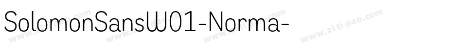 SolomonSansW01-Norma字体转换