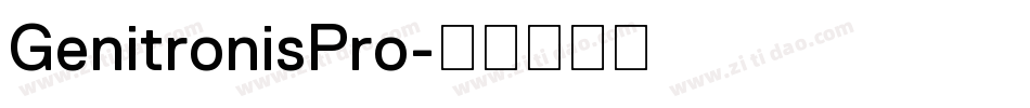 GenitronisPro字体转换