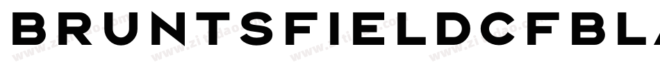 BruntsfieldCFBlack字体转换