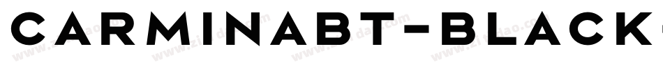 CarminaBT-Black字体转换
