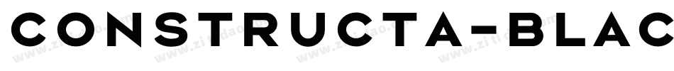 Constructa-Black字体转换